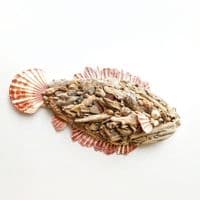Big Driftwood Fish | Wall Hanging | Rachel White