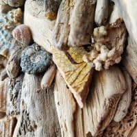 Big Driftwood Fish | Wall Hanging | Rachel White