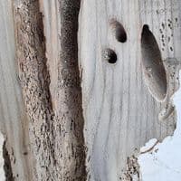 Bleached Driftwood Mirror | Wall Mirror | Julia Horberry