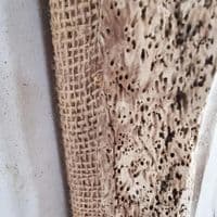 Bleached Driftwood Mirror | Wall Mirror | Julia Horberry