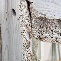 Bleached Driftwood Mirror | Wall Mirror | Julia Horberry