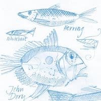 Blue Fish | Fine Art Print | Andrew Ruffhead