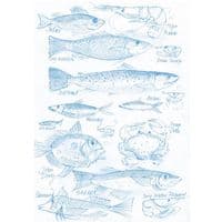 Blue Fish | Fine Art Print | Andrew Ruffhead
