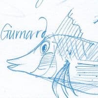 Blue Fish | Fine Art Print | Andrew Ruffhead