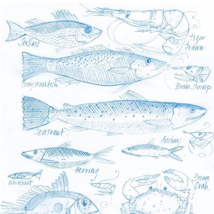 Blue Fish - Signed Print