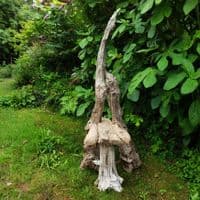 Castaway Driftwood Chair | Julia Horberry