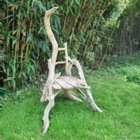 Castaway Driftwood Chair | Julia Horberry