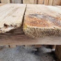 Castaway Driftwood Garden Bench | Julia Horberry