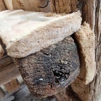 Castaway Driftwood Garden Bench | Julia Horberry
