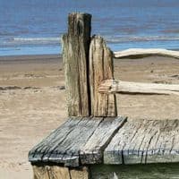 Castaway Driftwood Garden Seat | Julia Horberry