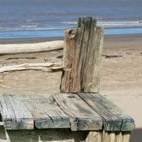 Castaway Driftwood Garden Seat | Julia Horberry
