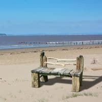 Castaway Driftwood Garden Seat | Julia Horberry