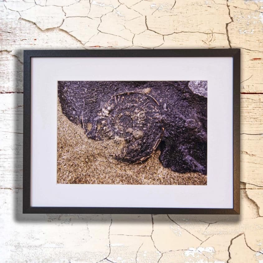 Caught in Time - Photography Print