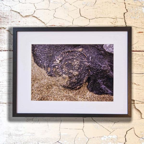 Caught in Time | Art Photography Print | Cliff Kinch