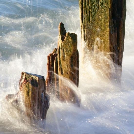 Featured Artists | Coastal Art Works | Coastal Prints | Paintings