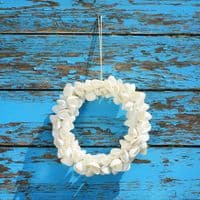 Cockle Shell Wreath