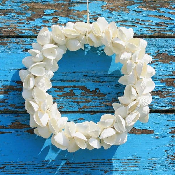 Cockle Shell Wreath