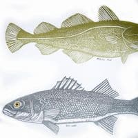 Cod & Bass Linocut Print | Chris Taylor