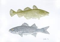 Cod & Bass Linocut Print | Chris Taylor