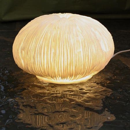 Coral Shaped Lamp