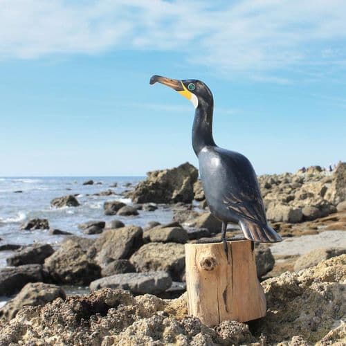 Cormorant – Wooden Bird Carving