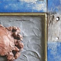 Crab Framed Art Picture | David Raine