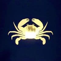 Crab Gold Foil Print | Metallic Art Print | Nichol Foster