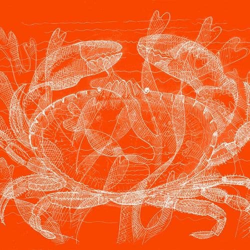 Crab - Signed Print