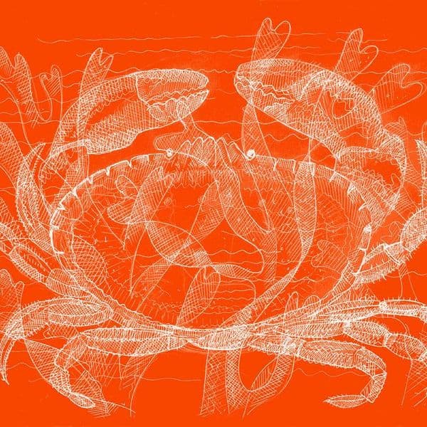 Crab Signed Print | Fine Art Print | Andrew Ruffhead