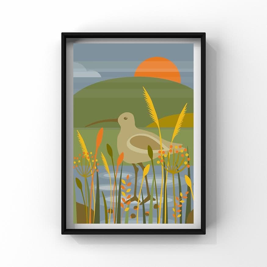 Curlew – A4 Print