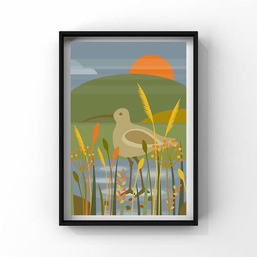 Curlew – A4 Print