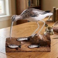 Curlew Fishing | Wooden Bird Carving