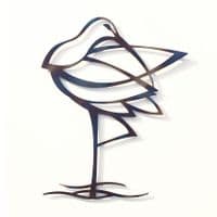 Curlew - Tempered Metal Wall Art Hanging by Janet Mary Robinson
