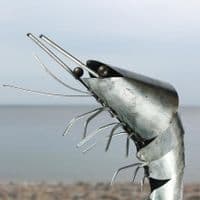 Decorative Tin Prawn| Metal Prawn | Model Prawn