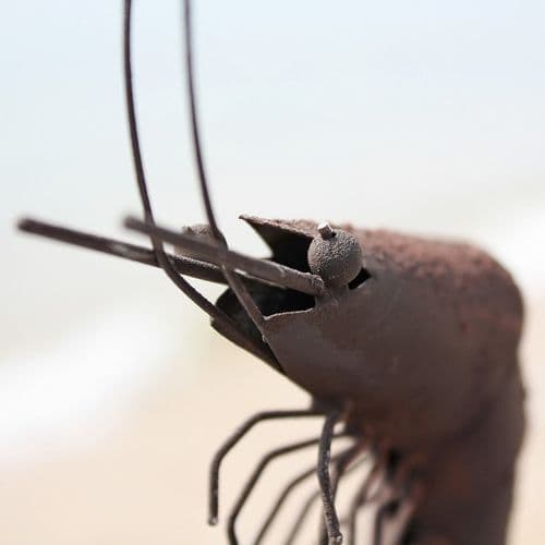 Decorative Tin Prawn