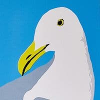 Douglas the Seagull Print | Sophie Mutter