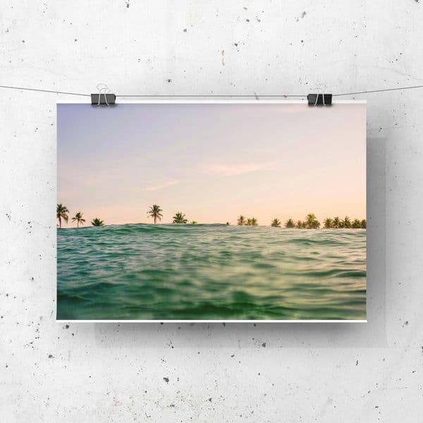 Dreamy Palms Photo Print | Limited Edition | Fine Art Print | Lara Colwood