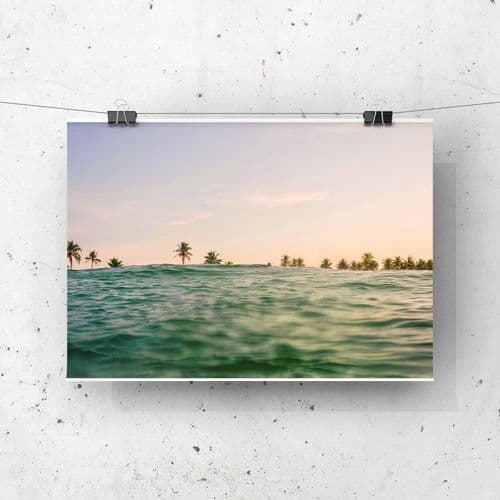 Dreamy Palms – Photo Print