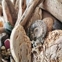Driftwood Anchor | Wall Hanging | Rachel White
