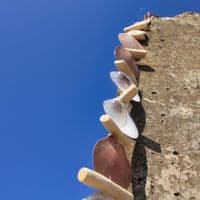 Driftwood and Seashell Hanging | Coastal Decoration