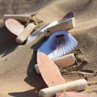 Driftwood and Seashell Hanging | Coastal Decoration