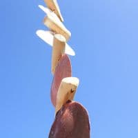 Driftwood and Seashell Hanging | Coastal Decoration