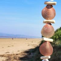 Driftwood and Seashell Hanging | Coastal Decoration