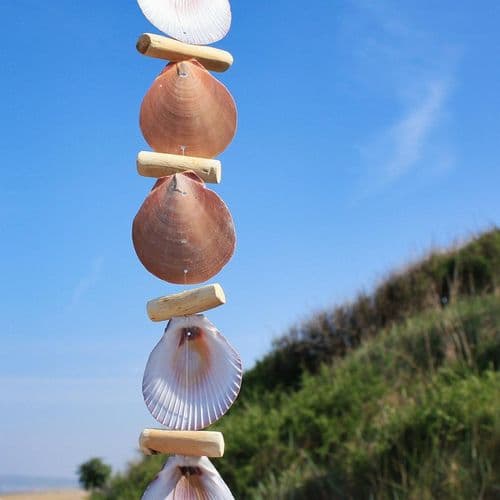 Driftwood and Seashell Hanging