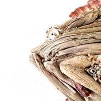 Driftwood Fish Wall Hanging |Rachel White