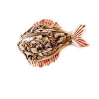 Driftwood Fish Wall Hanging |Rachel White