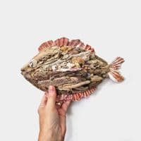 Driftwood Fish  - Wall Hanging |Rachel White