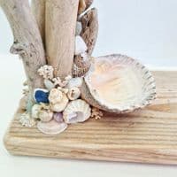 Driftwood Jewellery Hanger | Rachel White