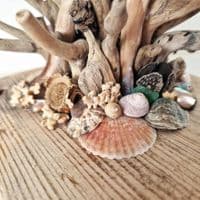 Driftwood Jewellery Tree Stand | Rachel White