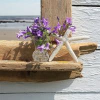 Driftwood Mirror Hive Beach | Wall Mirror | Coastal Mirror